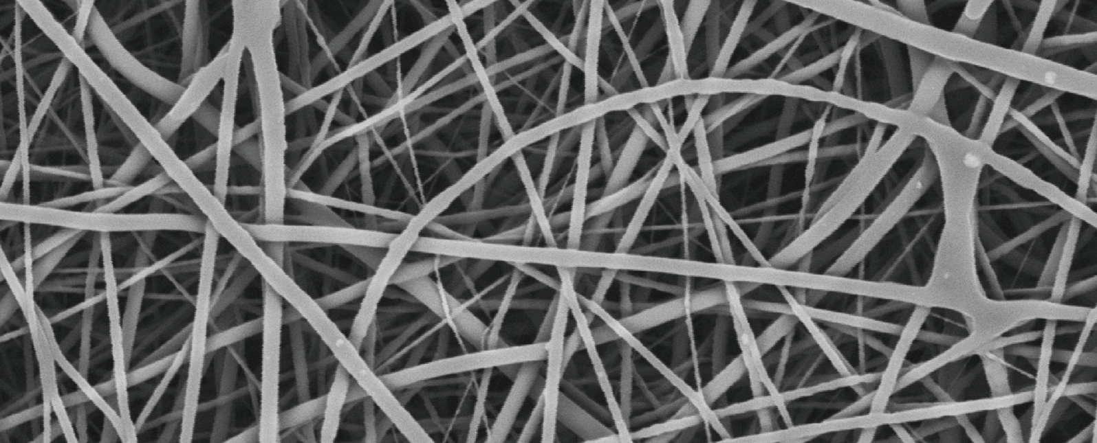 Application of SuperSEM N10 Desktop Scanning Electron Microscope in the Detection of Novel Functiona