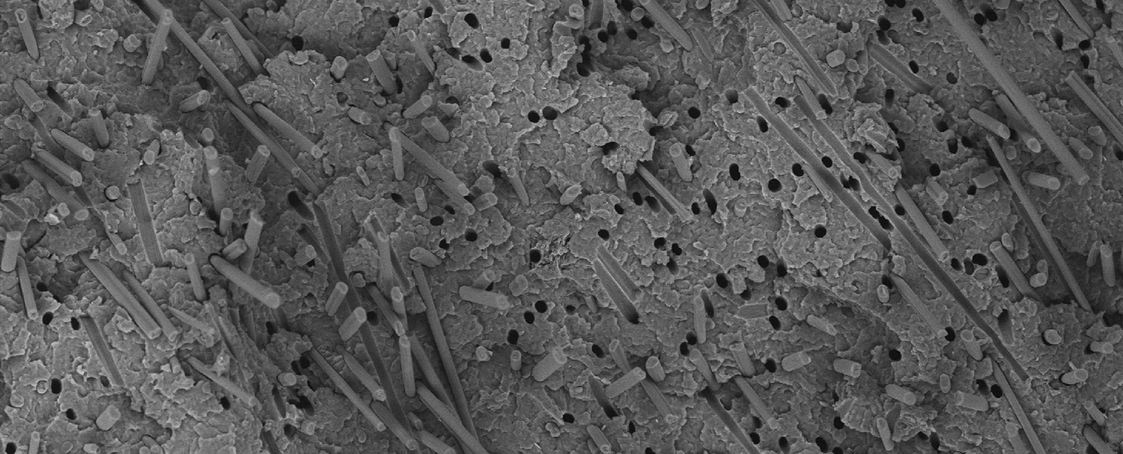 Application of SuperSEM Scanning Electron Microscope in Carbon Fiber Material Analysis