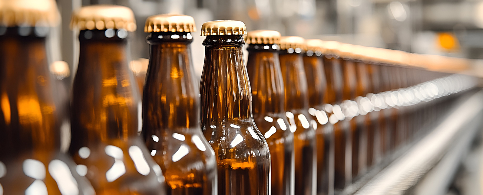 Application of ScopeX Vacuum XRF Analyzer in Soda-Lime-Silica Glass Composition Analysis