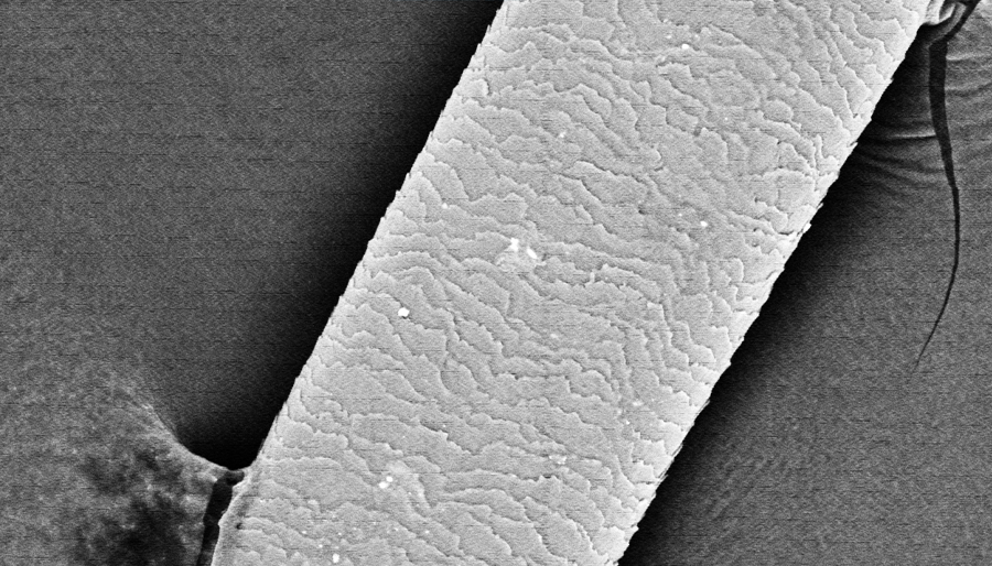 SuperSEM Desktop Real-time Energy Spectrum Scanning Electron Microscope(图5)