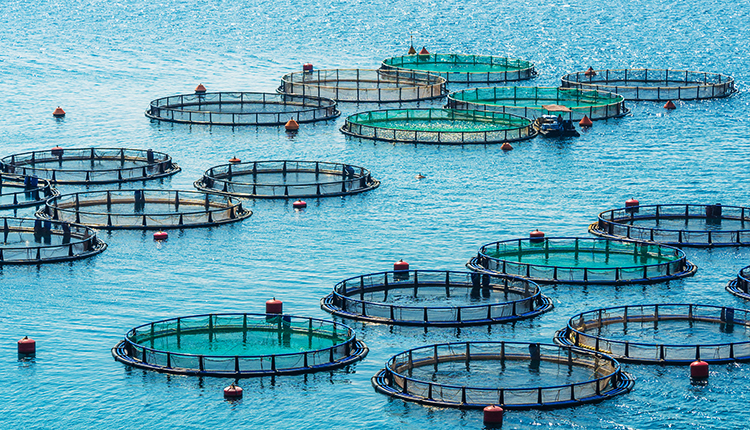 TX8000 Online Water Quality Heavy Metal Monitoring System(图7)