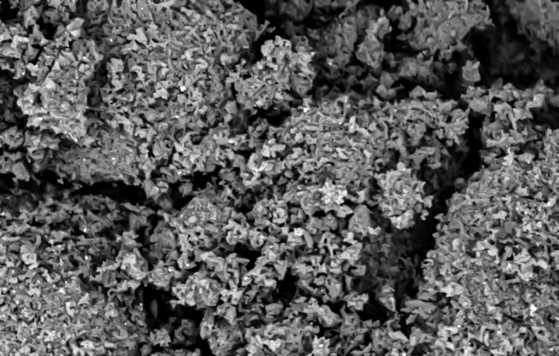 Application of XRD and SEM Techniques in the Analysis of Platinum-Carbon Catalysts(图4)