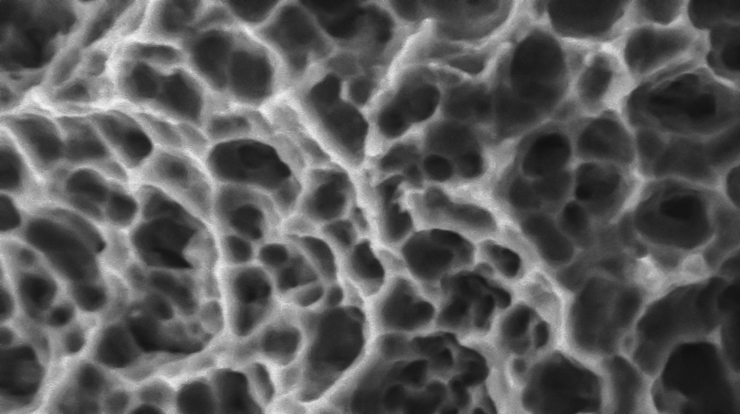 Application of SuperSEM N10eX in the Microscopic Inspection of Dental Implants(图1)