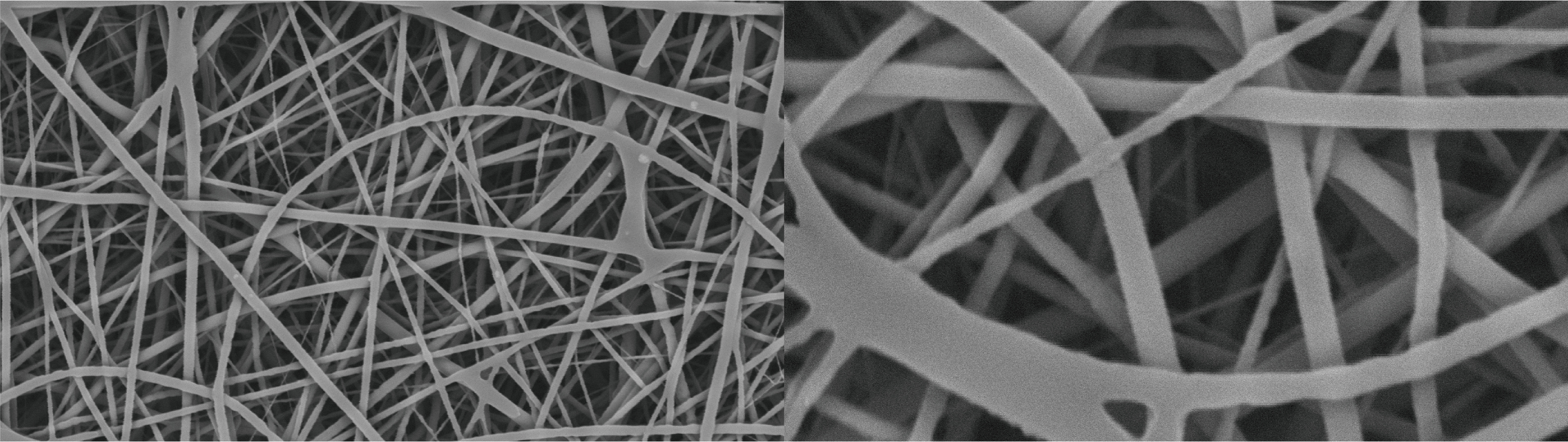 Application of SuperSEM N10 Desktop Scanning Electron Microscope in the Detection of Novel Functiona(图2)