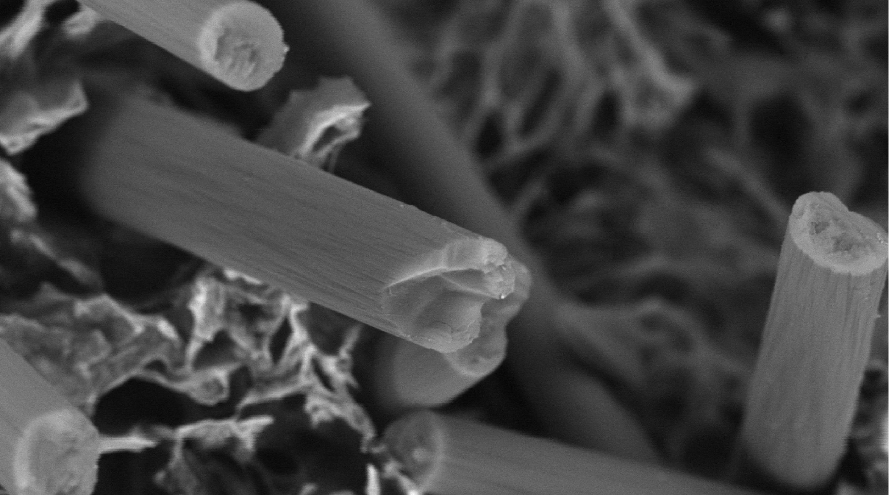 Application of SuperSEM Scanning Electron Microscope in Carbon Fiber Material Analysis(图3)