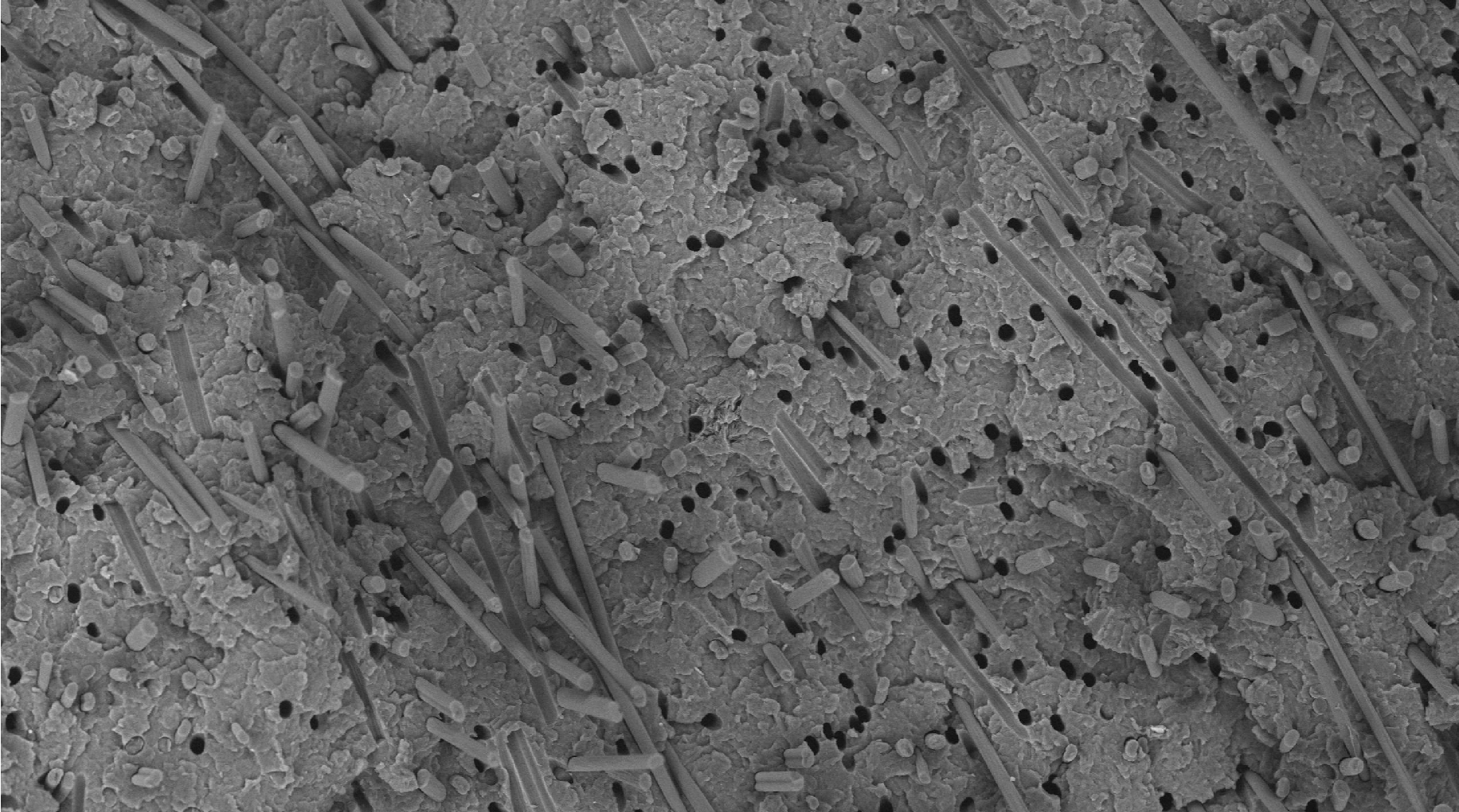 Application of SuperSEM Scanning Electron Microscope in Carbon Fiber Material Analysis(图2)